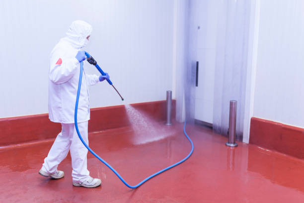 Best Pre-Holiday Cleaning  in Key West, FL